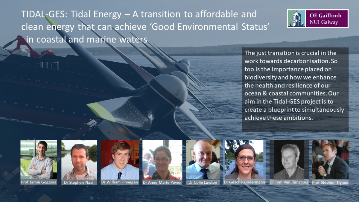 5 PhD Research Positions: Tidal Energy - MaREI